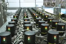 上海：着力实体经济 推进全产业链数字化升级图片