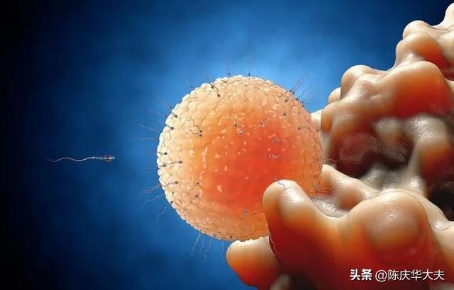 来了月经就会怀孕吗？