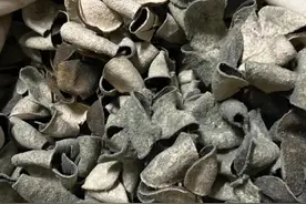 买回家的新会陈皮如何存放？你可能忽视了这几点！图片