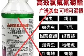 这些杀虫剂号称啥虫都杀，其实效果差得很，种植户购买时要慎重图片
