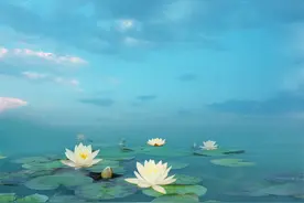 活在缘分里，而非关系中图片