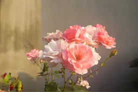 人老了，守住钱，是一种智慧图片