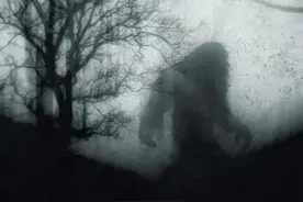 大脚怪是真的吗？图片