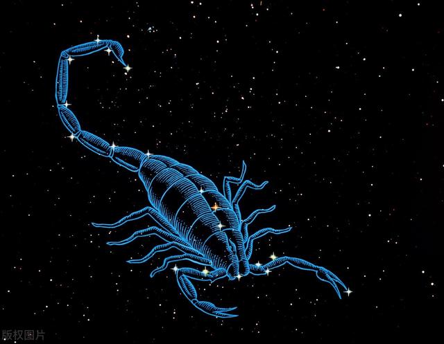 天蝎座的真实内心世界,和越来越爱你的表现