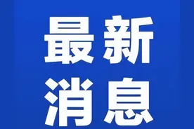 2025年岳阳楼区初中学校招生范围出炉图片
