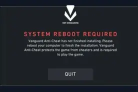 vanguard错误代码46解决办法图片