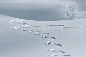 最伟大的五位天才科学家图片