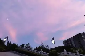 我已经勇敢过了，遗憾的就不应该是我了图片