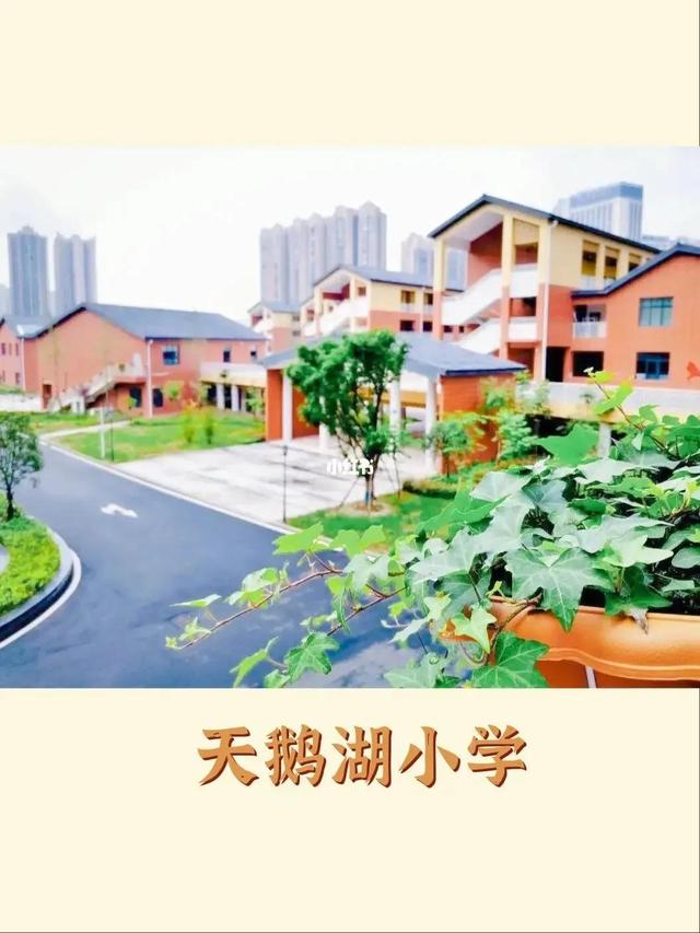 成都这些小学卡落户年限了？