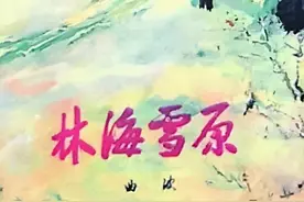 红色经典长篇小说《林海雪原》连载（6）曲波著图片