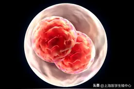 明明有排卵，也在排卵期同房了，为什么还是没怀上？图片