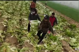 守望相助的情谊图片