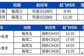 8月这些国际航班复航图片