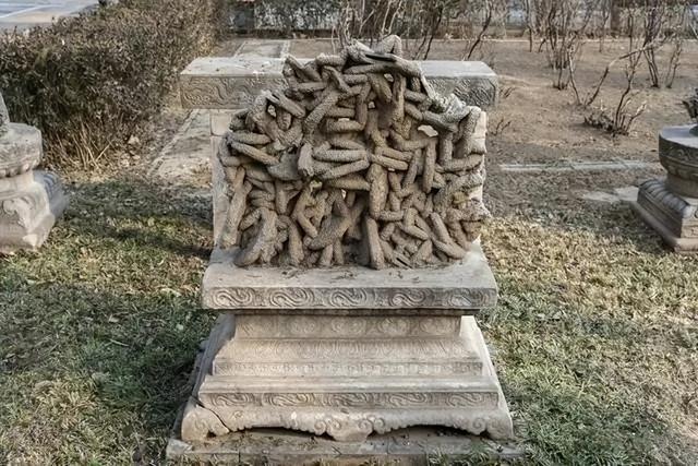 走进故宫｜御花园（1）