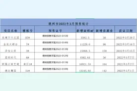 德州的开发商躺平了图片