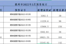 德州的开发商躺平了图片