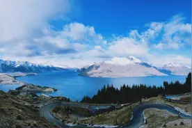 新西兰有种喜欢窃钥匙的鸟，为何成为重点保护动物，原因只有一个图片