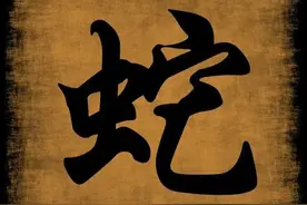 生肖属蛇之人，未来15天，事业不断上升、事事顺利！图片