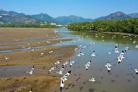 人生的虚伪图片