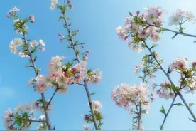 养成这32个习惯，拉开差距，超越别人图片