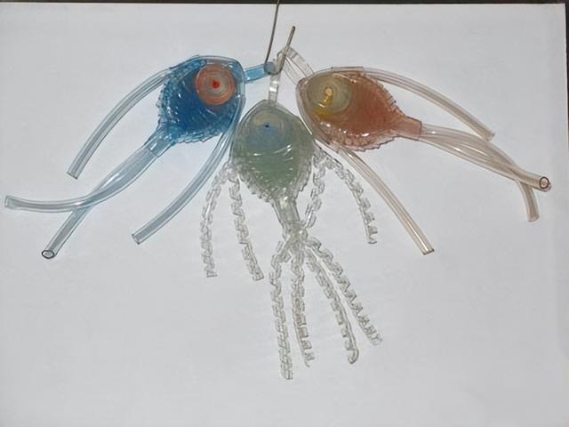 能打点滴时用的输液管编织成栩栩如生的金鱼,你必须感叹那个年代人们