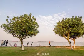 广州第一个滨海公园在南沙，堪称“小三亚”，景色迷人还免费图片