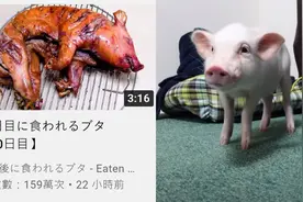3个月暴涨10万YouTube粉丝，这波操作的底层逻辑你懂了吗？图片