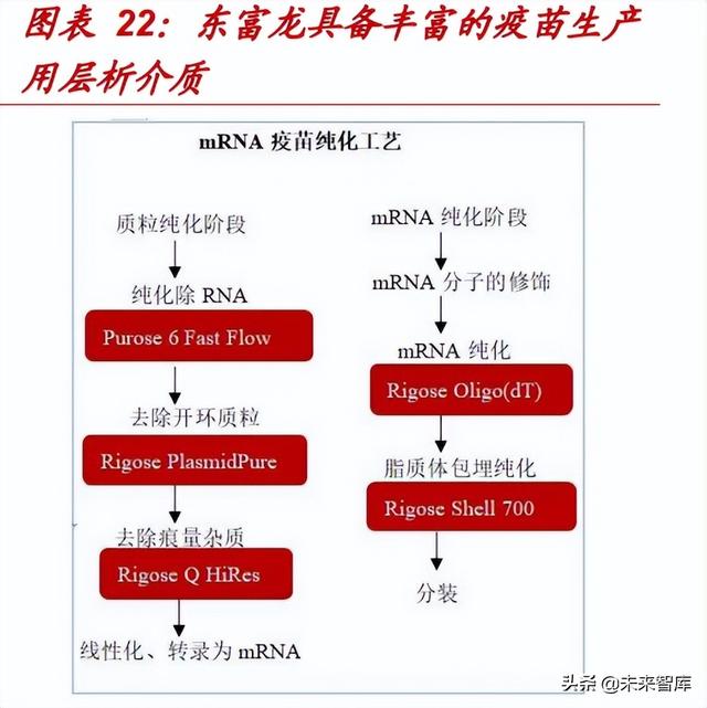 医药生物行业专题报告：mRNA技术有望迎来黄金十年