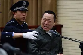 身价400亿的四川黑老大，逮捕后叫嚣：副国级以下的官，办不了我图片