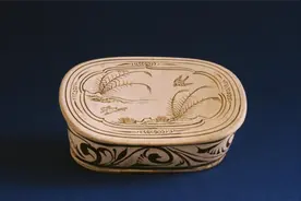 玉兔其实很“野” 丨 大河风物图片