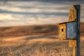 有的人没有朋友，亲情也很淡薄，说明他在两方面很不简单图片