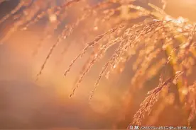 子女的姻缘，其实命中早已注定图片