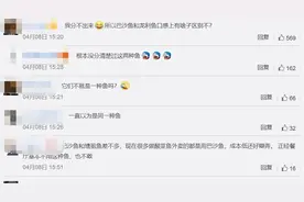 用巴沙鱼冒充龙利鱼被罚20万？原来巴沙鱼不是龙利鱼么......图片