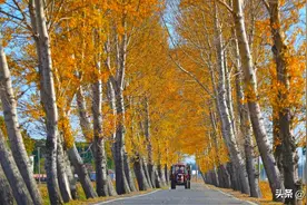 辽宁秋粮收获进展顺利图片