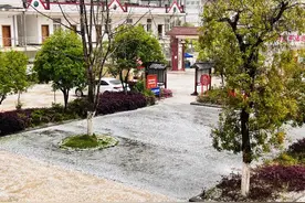 【悦读】四月，雹落人间 ，乱红飞舞，奏响老麦的乐音图片