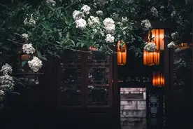 一天一首古诗词 | 宋词，苏轼《满庭芳·蜗角虚名》图片