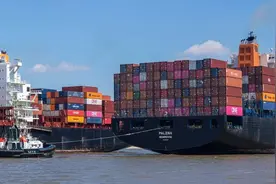 “快递一哥”出战东南亚，顺丰能否真的“顺风”？图片