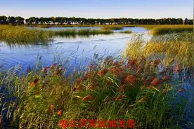 蒙古王公齐王府扑朔迷离的地下宝藏图片