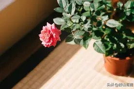 一个人的“穷酸命”，过了五十五岁，其实就很难改变了图片