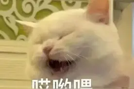 表情包：哎呦喂图片