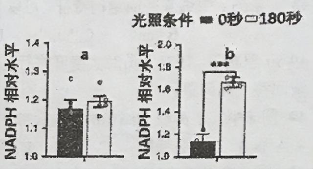 2021年全国中学生生物学联赛试题