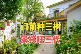 俗语“门前种三树，家兴旺三代”，指哪3种树？旺三代可信吗？图片