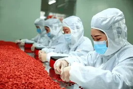 枸杞不但能生精，还能降血糖？枸杞干吃还是泡水？告诉你答案图片