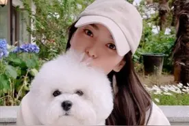 单身独美！41岁宋慧乔日常私服曝光，离婚后有毛孩子陪伴生活惬意图片