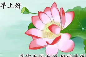 微信聊天问候表情包图片