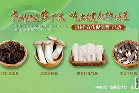 青山绿水 黔菇味美——贵州生态食用菌再次亮相央视图片
