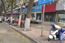 新乡主城区，陆续开始返校图片