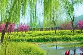 野桃含笑竹篱短 溪柳自摇沙水清《新城道中》格律学习 诗作欣赏图片