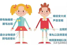 孩子发育太早反而长不高 是什么让性早熟找上门？图片