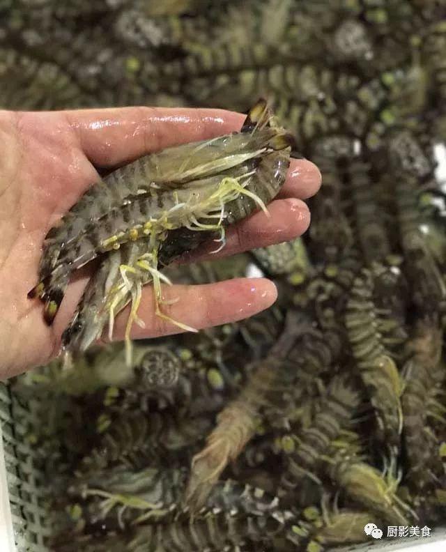 40头的花胶是几级 2025年花胶40头是什么意思?